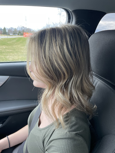 Beauty Salon «Bocci Salon & Spa», reviews and photos, 13800 Canal Rd, Sterling Heights, MI 48313, USA