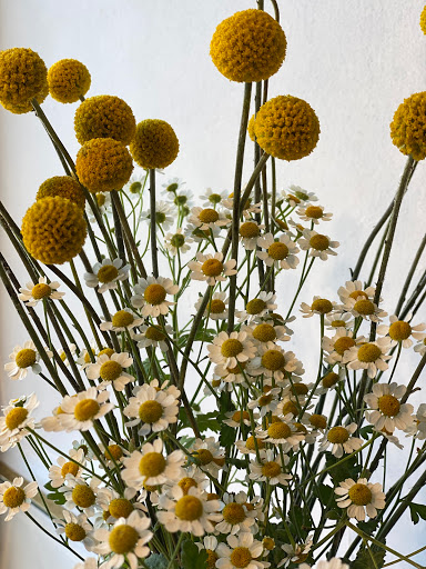 Florist «Magical Blooms», reviews and photos, 1417 S Pacific Coast Hwy, Redondo Beach, CA 90277, USA