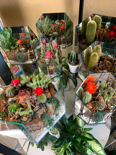 Florist «Four Seasons Flowers & Gifts», reviews and photos, 6630 W Cactus Rd b104, Glendale, AZ 85304, USA