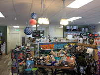 EarthWise Pet Carlsbad - Photo 6 - Car repair in Carlsbad, CA, Oceanside