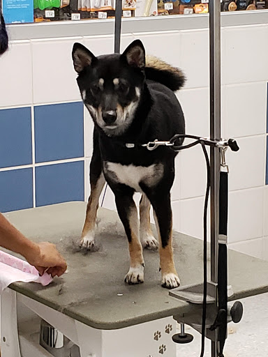 Pet Supply Store «Petco Animal Supplies», reviews and photos, 1660 Orchard Gateway Blvd, North Aurora, IL 60542, USA