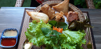 Rouleau de printemps du Restaurant thaï Muang Thai à Colmar - n°12