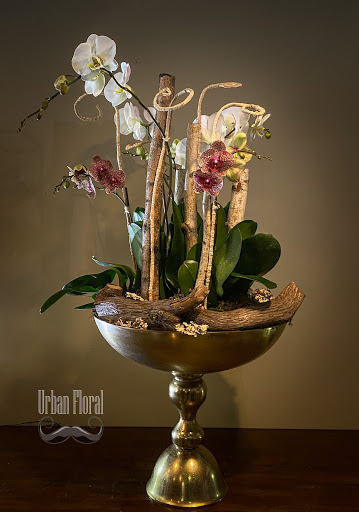 Florist «Urban Floral», reviews and photos, 671 Meriden Rd, Waterbury, CT 06705, USA