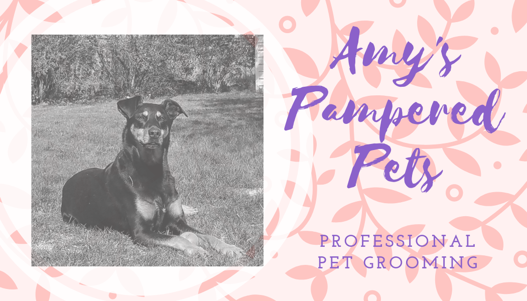 Amy's Pampered Pets