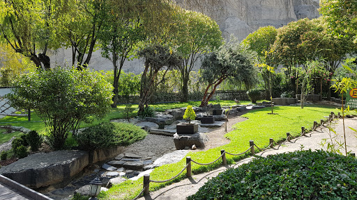Jardines botanicos en La Paz