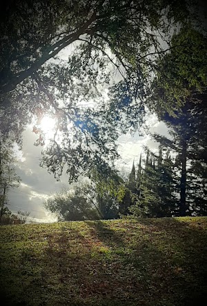 Montview Park - photo 5