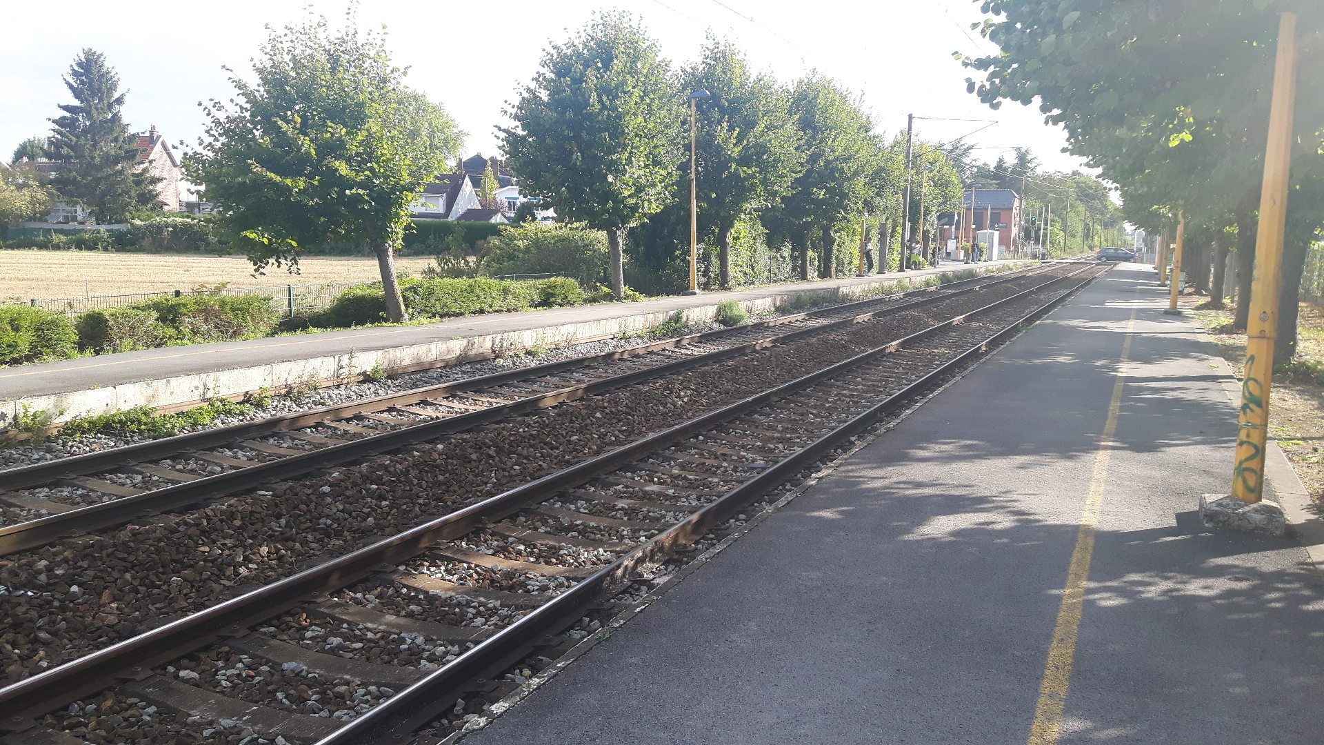 Photo n° 1 de l'avis de Thierry.E fait le 18/09/2019 à 15:09