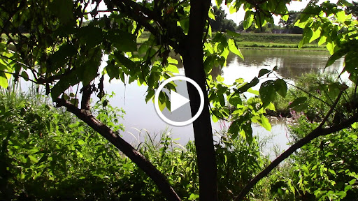 Boat Ramp «Bladensburg Waterfront Park», reviews and photos, 4601 Annapolis Rd, Bladensburg, MD 20710, USA