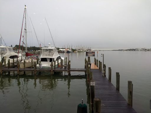Nature Preserve «San Carlos Bay - Bunche Beach Preserve», reviews and photos, 18201 John Morris Rd, Fort Myers, FL 33908, USA