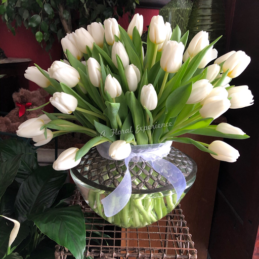 Florist «A Floral Experience», reviews and photos, 5457 N MacArthur Blvd, Irving, TX 75038, USA