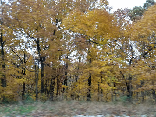 Non-Profit Organization «Community Action of Southern Indiana», reviews and photos