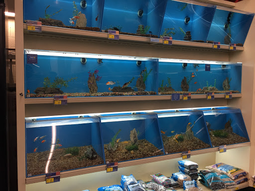 Pet Supply Store «PetSmart», reviews and photos, 13764 W Bell Rd, Surprise, AZ 85374, USA