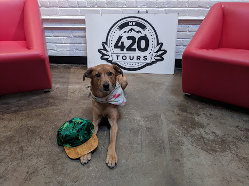 Hotel «My 420 Tours», reviews and photos, 3881 Steele St, Denver, CO 80205, USA