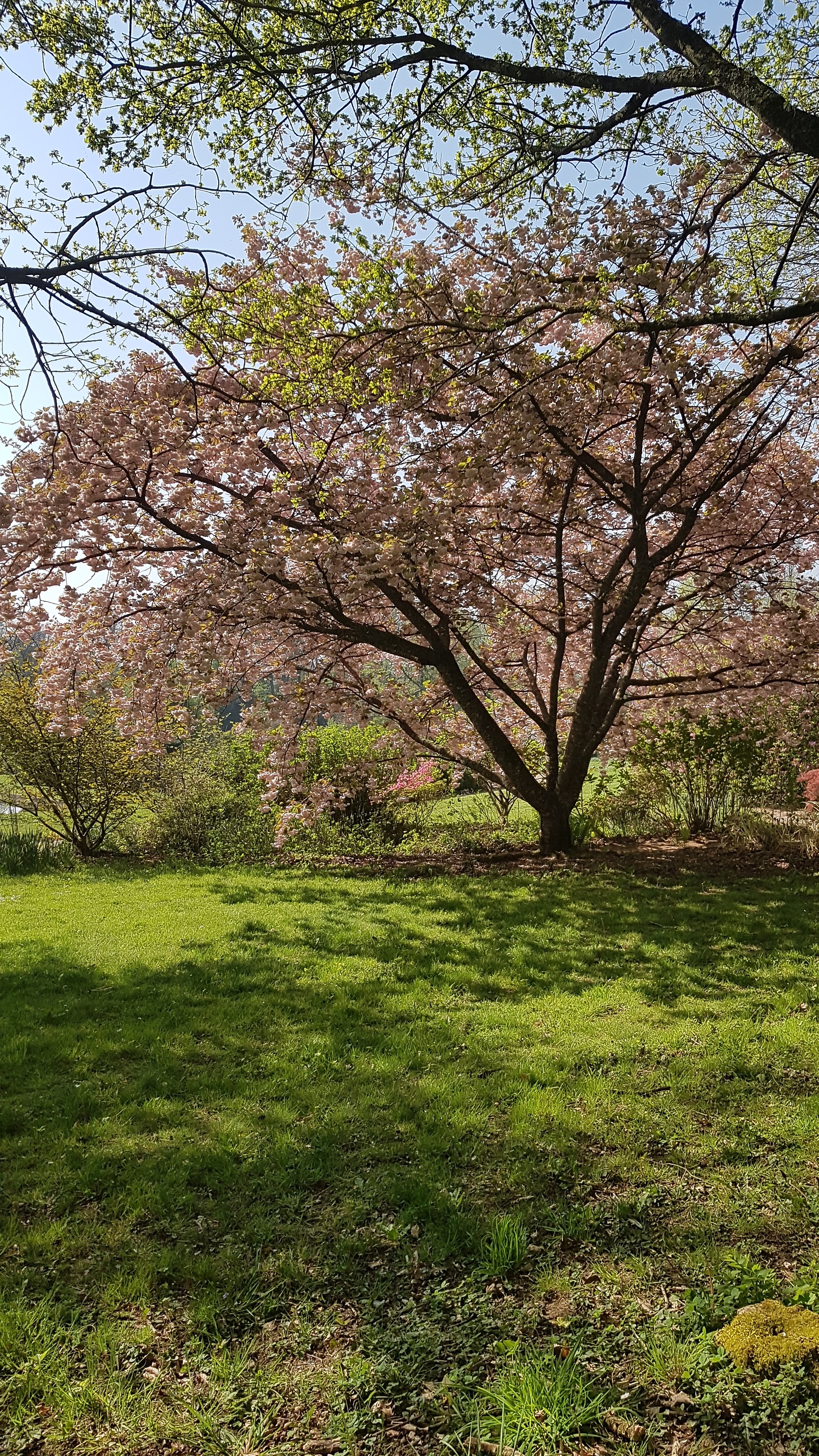 Photo n° 3 de l'avis de Nico.a fait le 21/04/2019 à 09:46