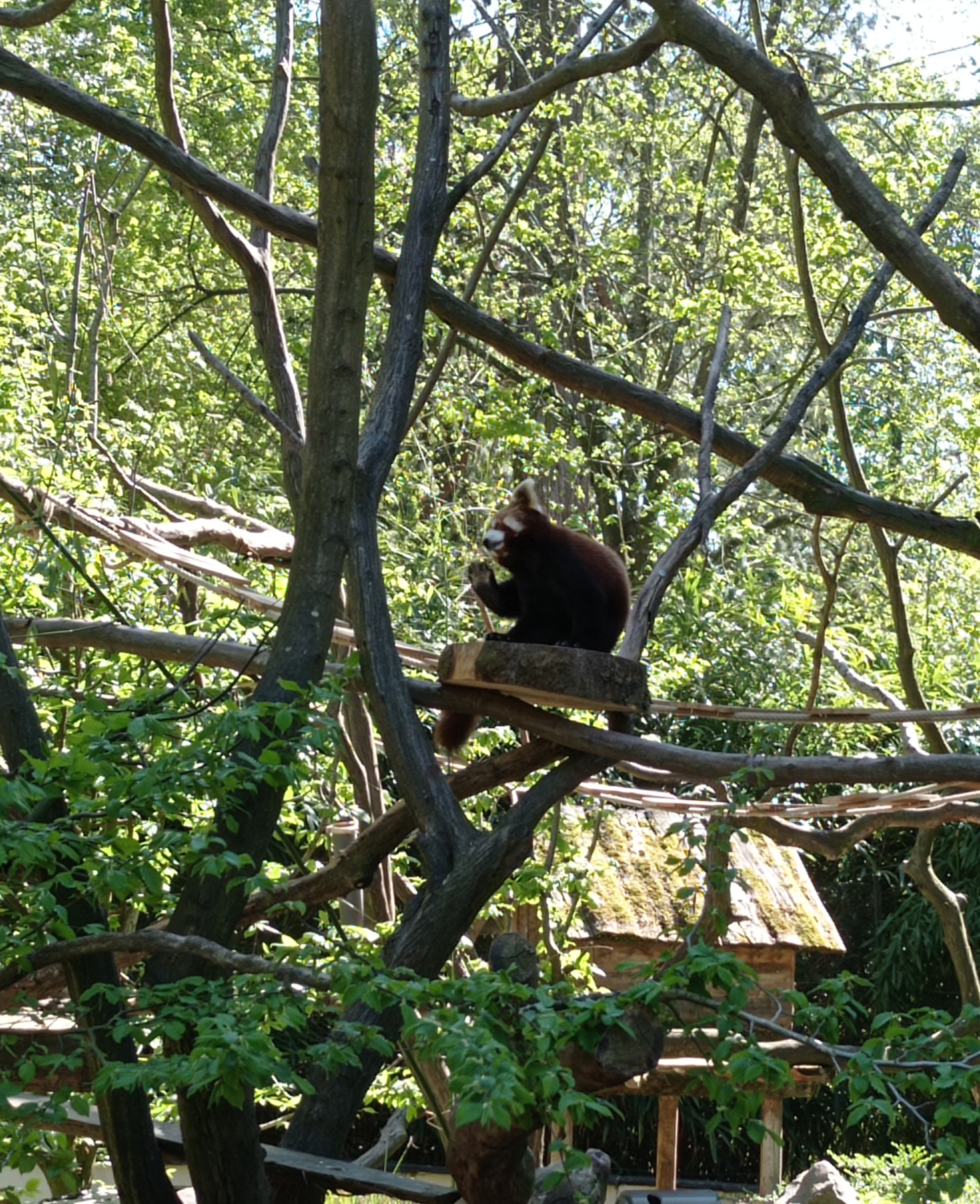 Photo n° 2 de l'avis de Louise.i fait le 04/05/2023 à 17:23