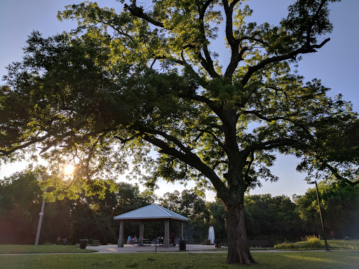 Park «Katherine Rose Memorial Park», reviews and photos, 303 N Walnut Creek Dr, Mansfield, TX 76063, USA