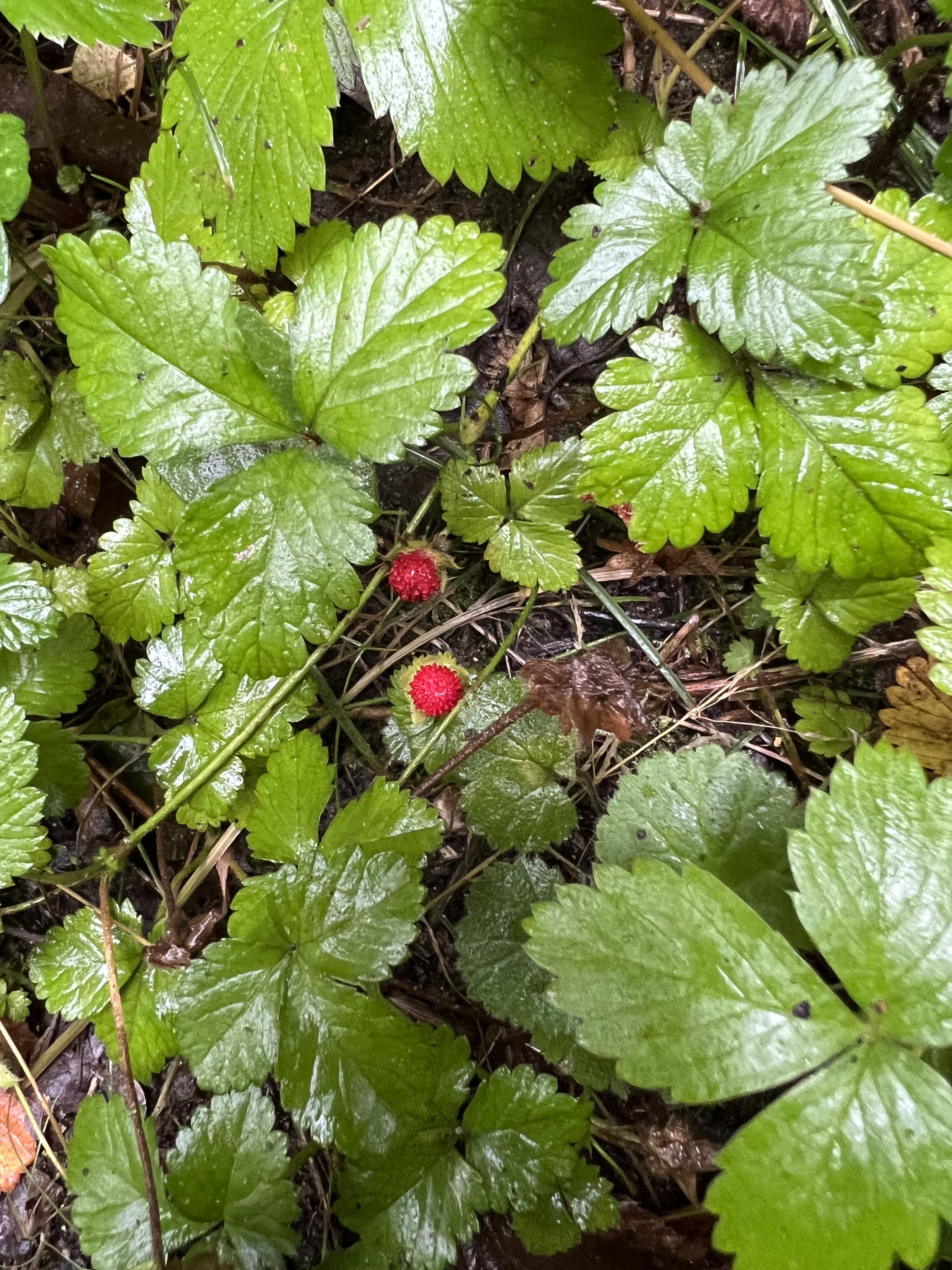 Photo n° 5 de l'avis de Marty.o fait le 28/07/2023 à 16:52
