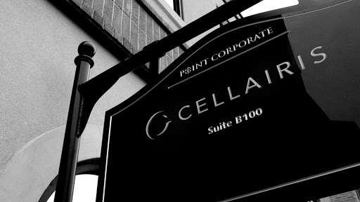 Cellairis, 1961 Chain Bridge Rd, McLean, VA 22102, USA, 