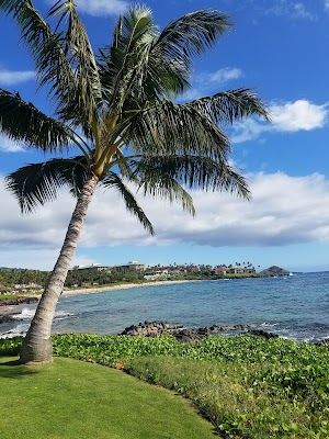 Wailea Beach Path - photo 88