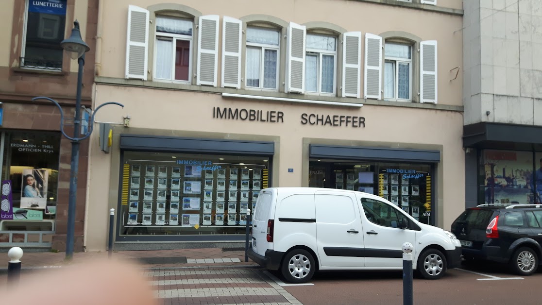 Immobilier Schaeffer à Sarrebourg