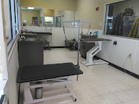 Petco - Photo 2 - Car repair in Downers Grove, IL, Naperville