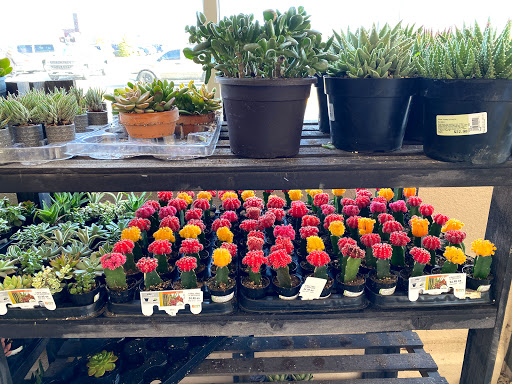 Home Improvement Store «The Home Depot», reviews and photos, 6501 W Broad St, Richmond, VA 23230, USA