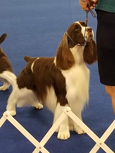 Fairground «Del Mar Fairgrounds», reviews and photos, 2260 Jimmy Durante Blvd, Del Mar, CA 92014, USA