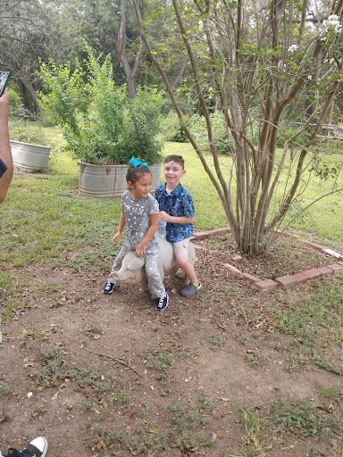 Ranch «Rio Cibolo Ranch», reviews and photos, 1101 Ulrich Rd, Marion, TX 78124, USA