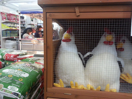 Home Improvement Store «True Value 360 Hardware & Rental», reviews and photos, 625 Richmond Tappahannock Hwy, Manquin, VA 23106, USA