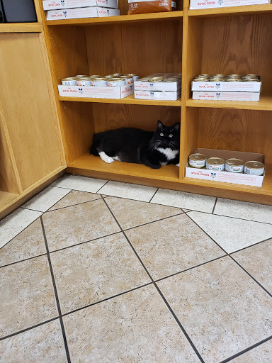 Townline Veterinary Hospital image