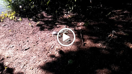 Park «Weequahic Park», reviews and photos, Elizabeth Ave & Meeker Ave, Newark, NJ 07112, USA