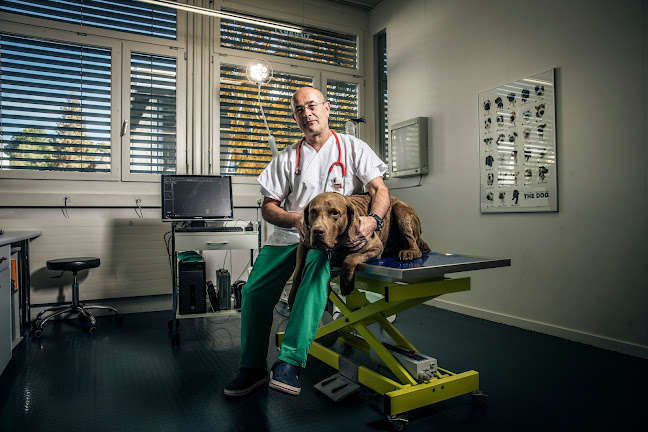 Rezensionen über Kleintierpraxis Im Gewerbezentrum Zollikon Gmbh in Zürich - Tierarzt