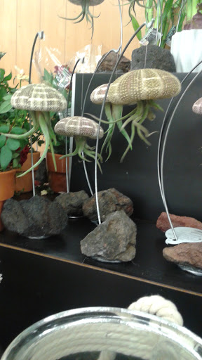 Supermarket «Lucky», reviews and photos, 1145 Arnold Dr, Martinez, CA 94553, USA