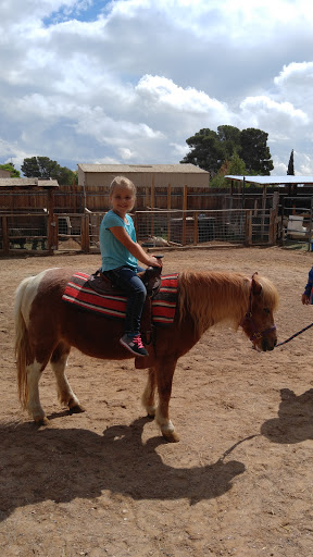Zoo «Jr Pony Parties», reviews and photos, 1744 N Leonard Ln, Las Vegas, NV 89108, USA