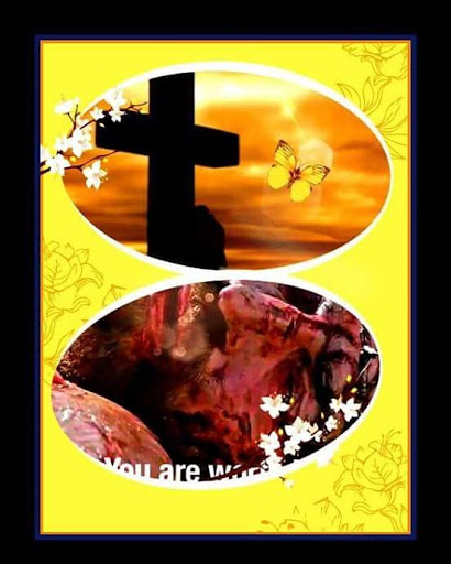 Motorcycle Dealer «Quick Time Cycle Sales», reviews and photos, 2087 S Church St, Spartanburg, SC 29306, USA