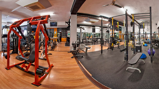 Lizard Gimnasio en Jaén, Jaén