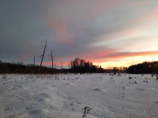 Nature Preserve «Beaver Meadow Audubon Center», reviews and photos, 1610 Welch Rd, Java Center, NY 14082, USA