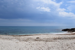Photo de Platja Serradal 2 situé dans une zone naturelle