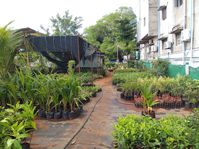 Aasai Nursery garden(Tenkasi)