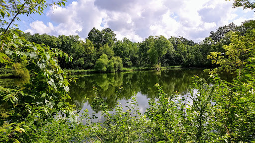 Rock Springs Conservation Area image 4