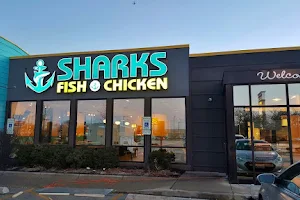 Sharks Fish and Chicken image