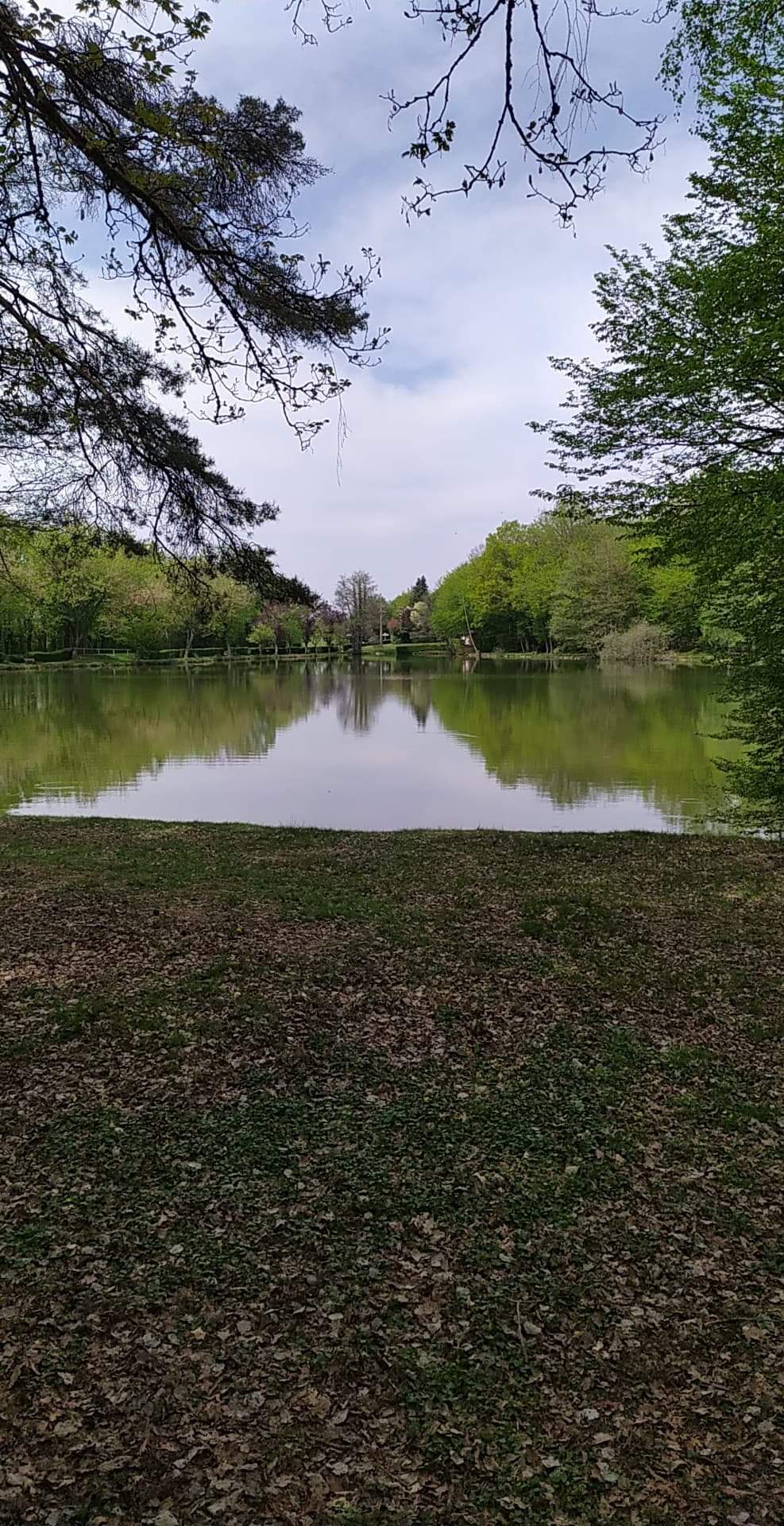 Photo n° 2 de l'avis de Jipé.. fait le 25/04/2019 à 04:58