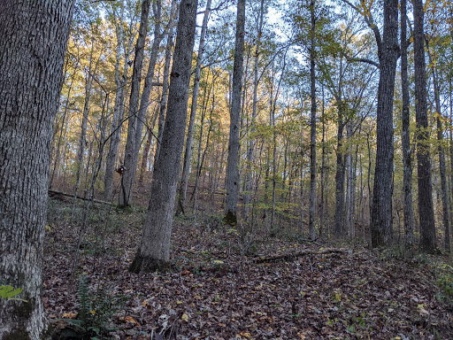 Monument «Meriwether Lewis Monument», reviews and photos, Old Natchez Trace, Hohenwald, TN 38462, USA