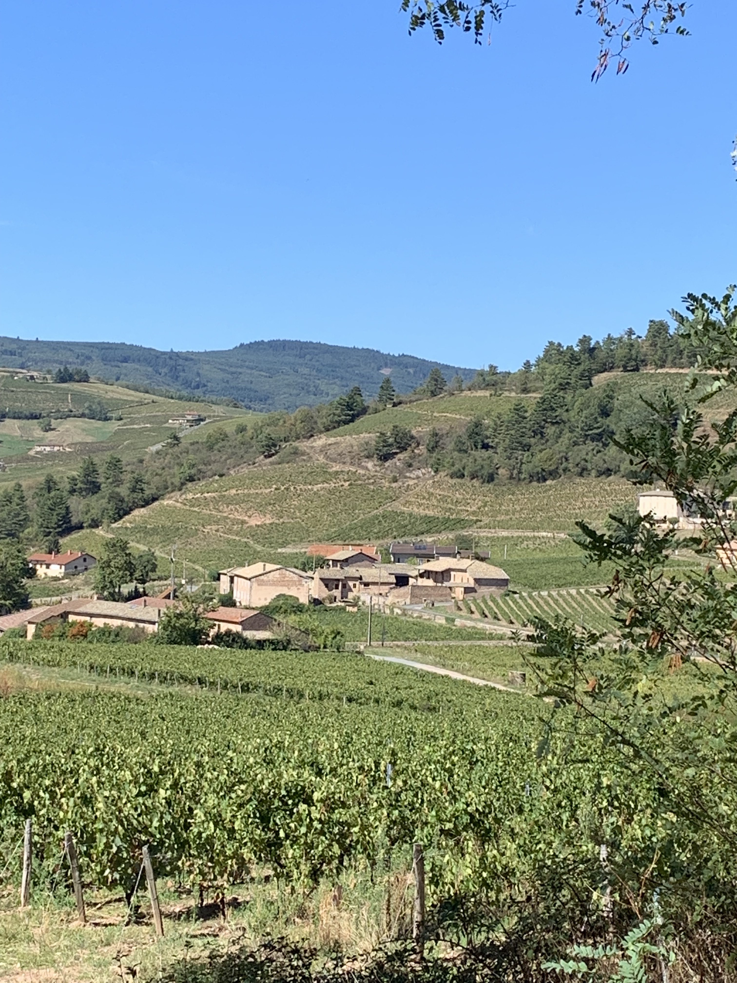 Photo n° 2 de l'avis de Nicholas.o fait le 05/10/2022 à 20:15