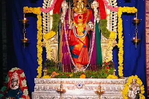 Shri Mahakali Temple image