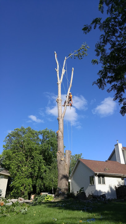 Neighborhood Tree Care