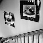 Photo n°7 de l'avis de Andrew.h fait le 14/01/2019 à 16:29 sur le  Bad Clevers Gesundheitsresort & SPA à Bad Grönenbach