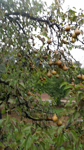 Farm «Fairmount Fruit Farm», reviews and photos, 887 Lincoln Street, Franklin, MA 02038, USA