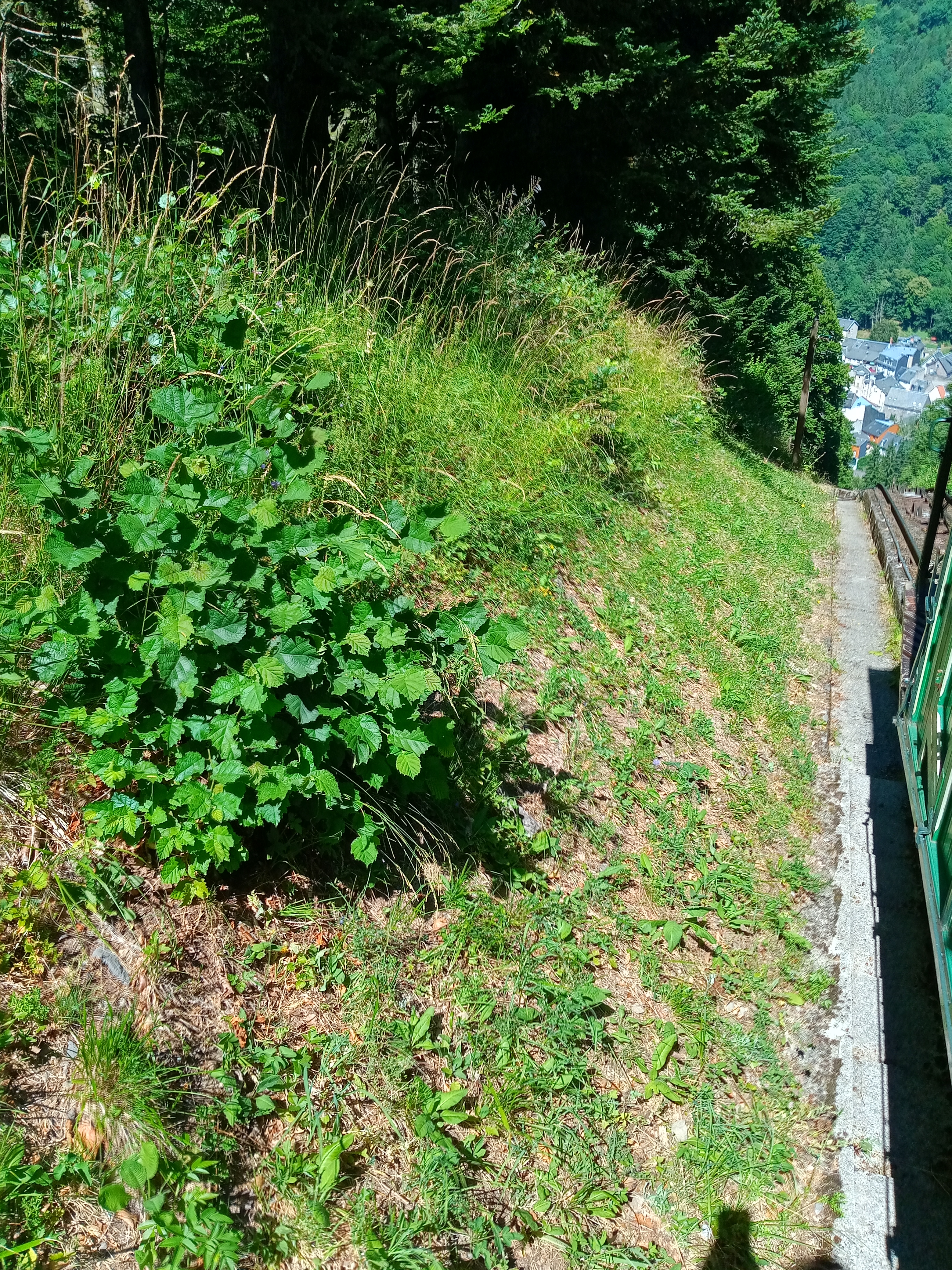 Photo n° 2 de l'avis de REVES.H fait le 21/07/2022 à 17:43