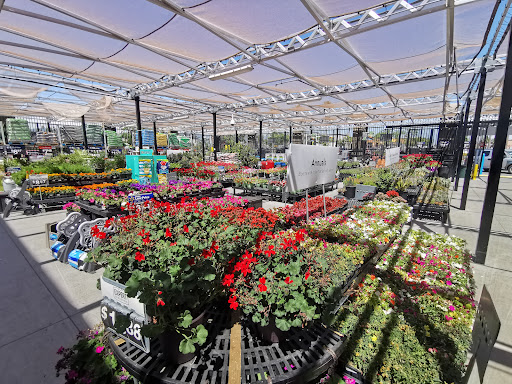 Discount Store «Walmart», reviews and photos, 1366 S Riverside Ave, Rialto, CA 92376, USA